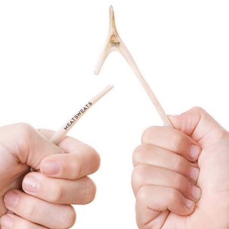 Fake Wishbones